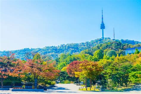 south korea escorted tours|South Korea Escorted Tours 2025/2026